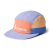 Grapefruit/Aster