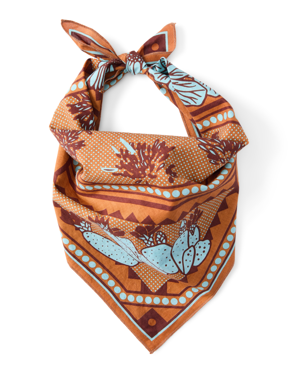 s26-u-organic-cotton-bandana-desert-llama-lf-03.png Organic Cotton Bandana - Image 1